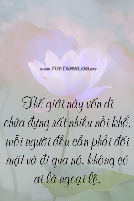 32317fd8179b7184f9b7097d91f29126