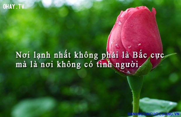 19504-81c59487c84b2e93b0def5e976425a5b