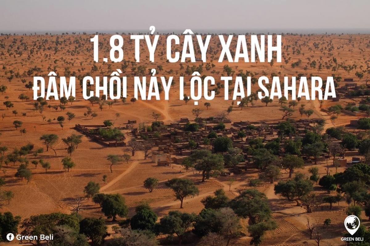 144282820_420936042693674_5966704001796267714_o