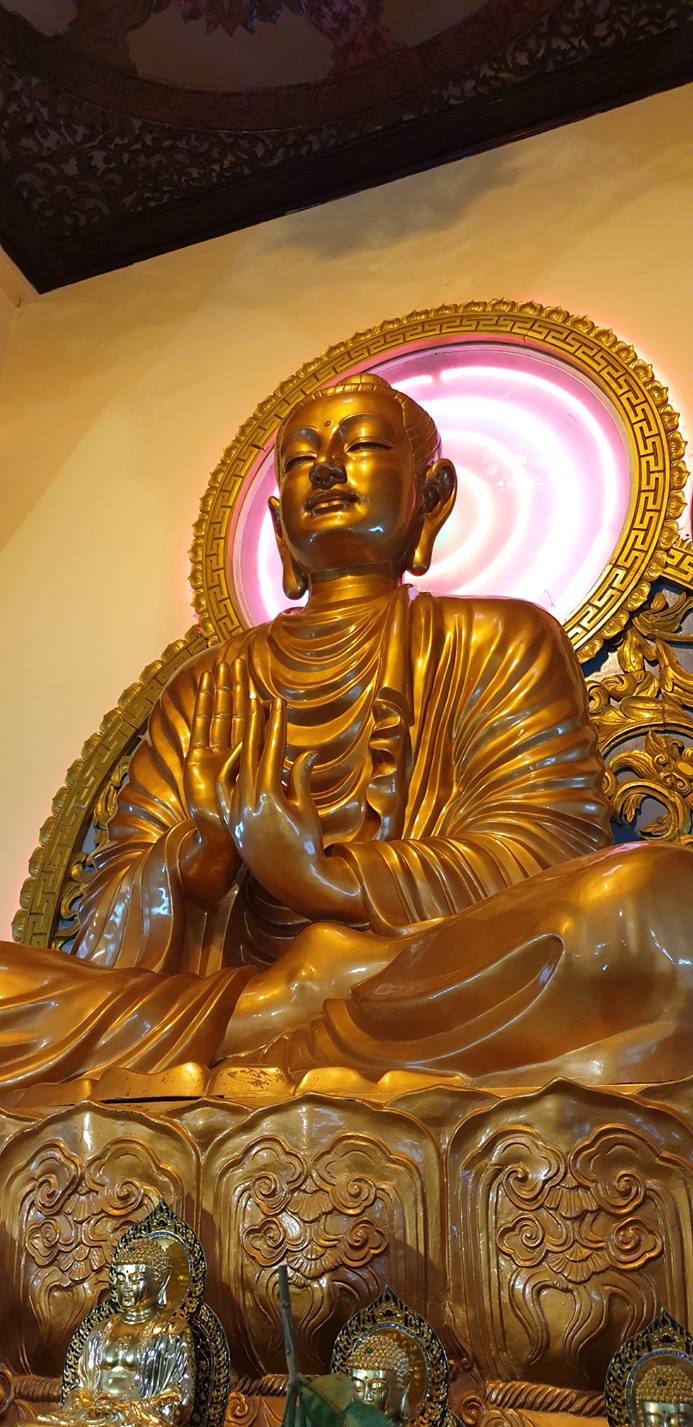 52759736_2225777434356438_753886057459613696_o_2225777427689772