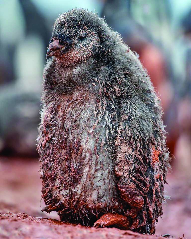 86730621_521317781846576_8400010442386178048_o