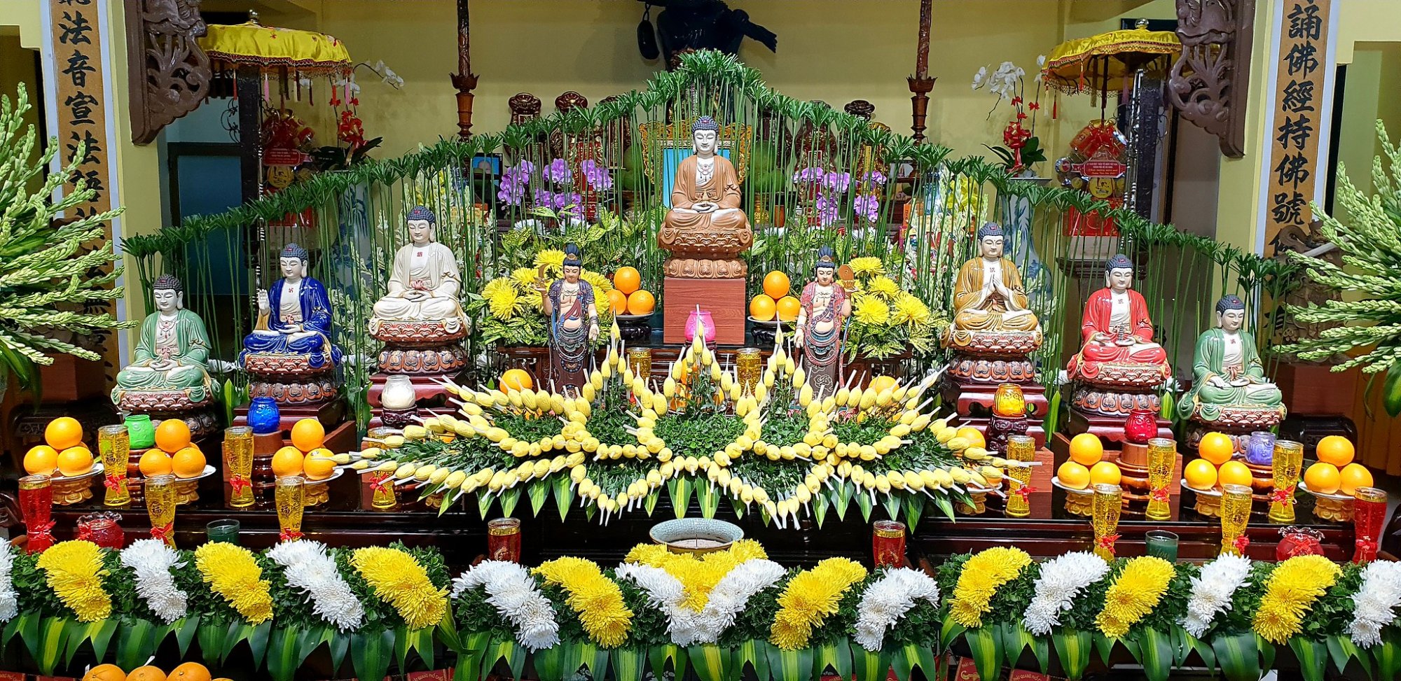 50962069107_96b6a4bf41_k