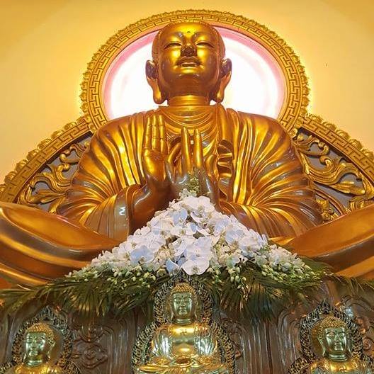 53321405_2230967183837463_4026721737684025344_n