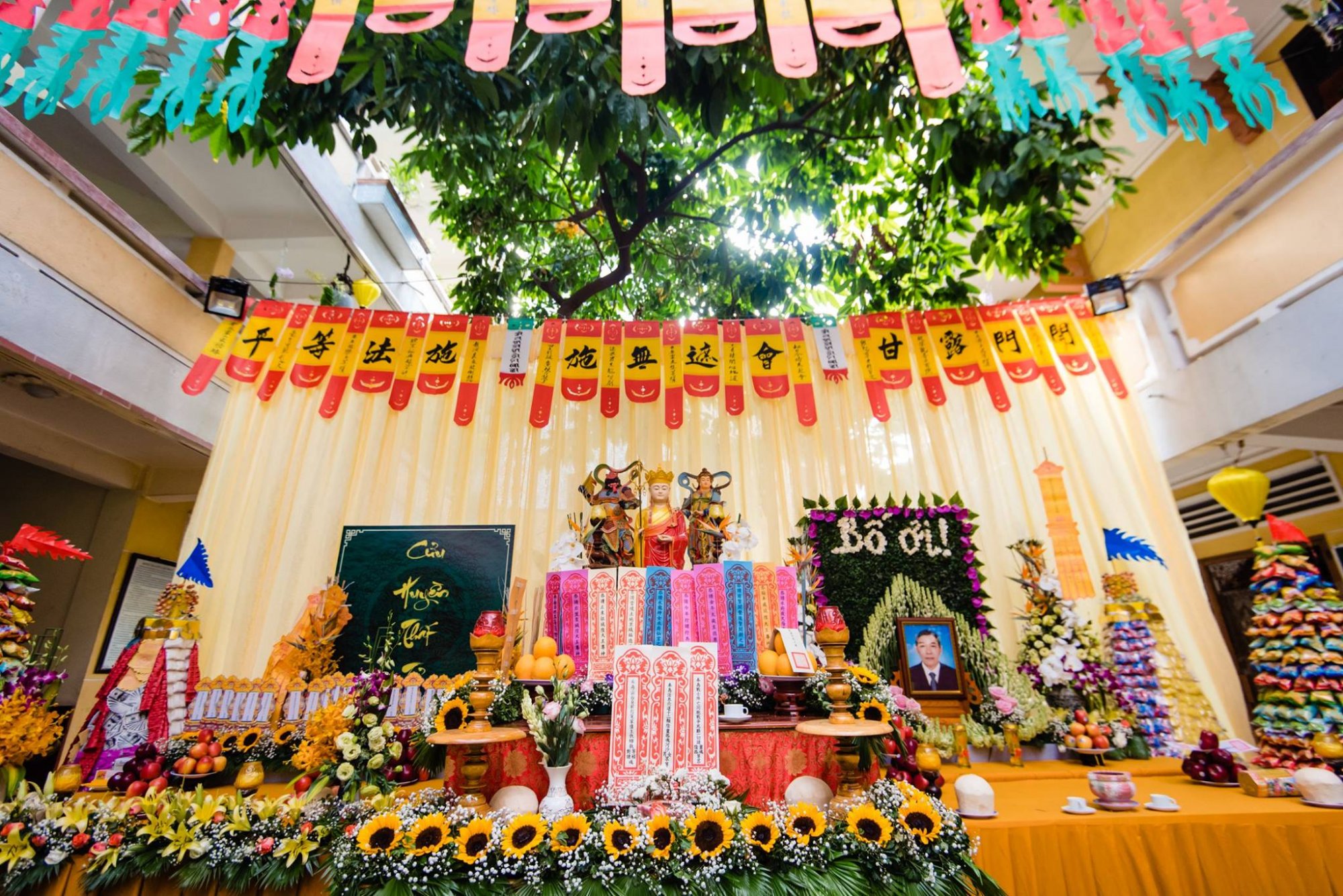 53566851_2237425549858293_8659732758362324992_o