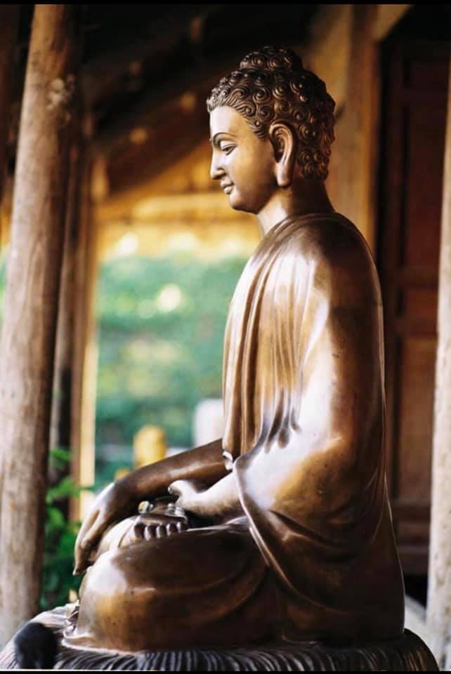 54437022_2234509003282624_3174570577998381056_n