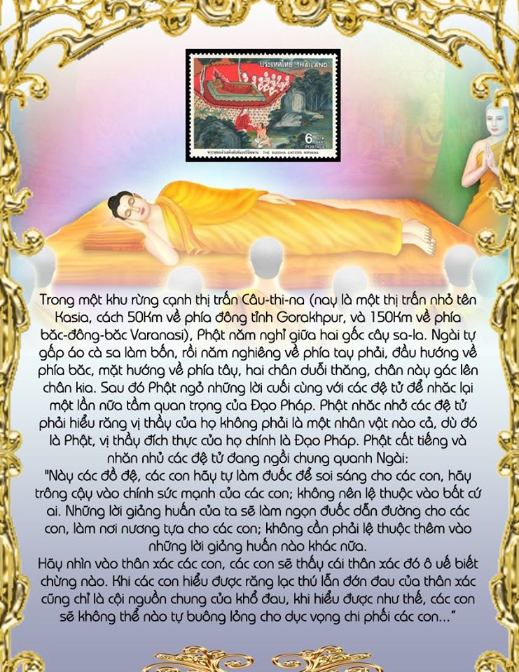 88240647_4012638515420597_4284641219662839808_o