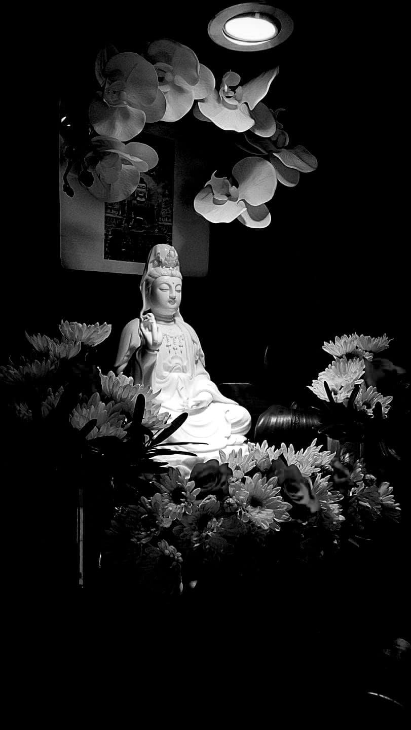 275267795_3215044088773987_924398471004175141_n