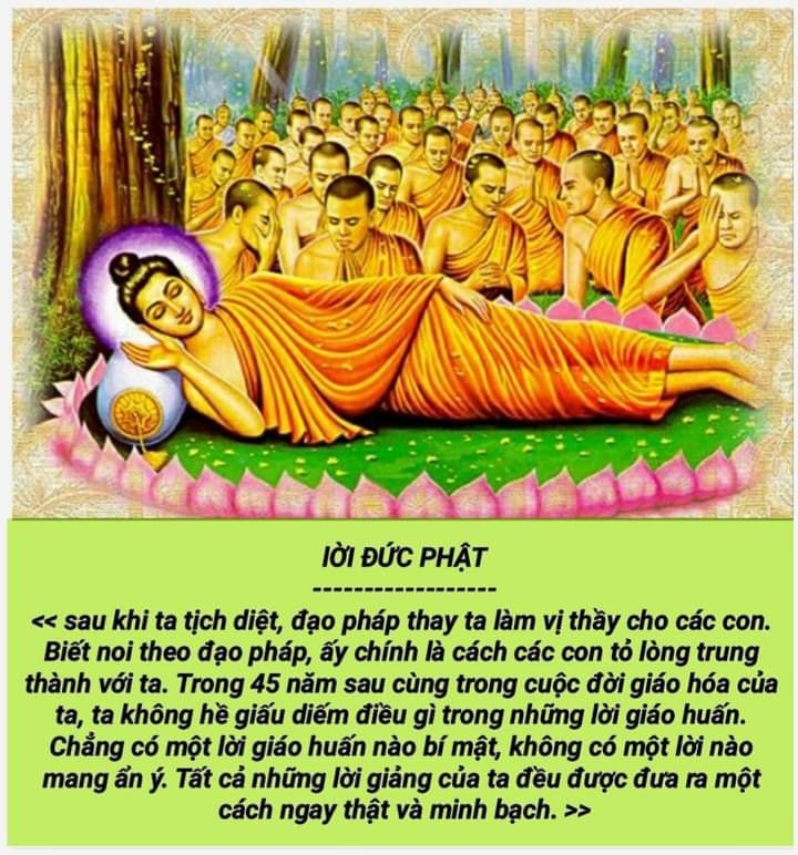 334717565_563479255541085_2395801631584077282_n