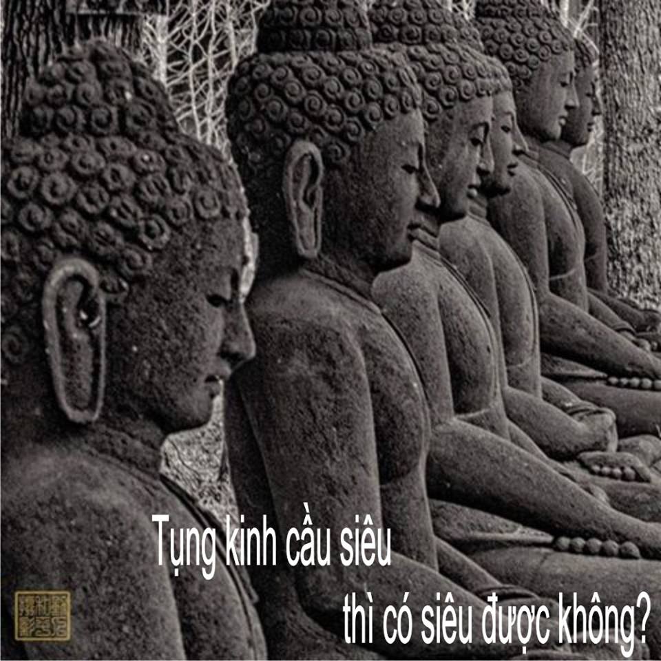 15781747_1801181243482728_8914515501645010063_n