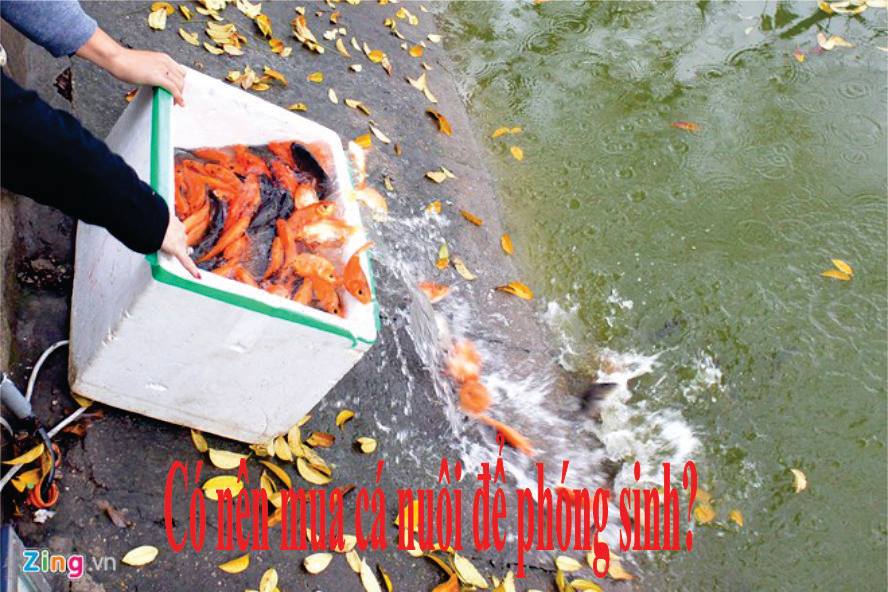 17200961_1833400960260756_7240360669122472029_n