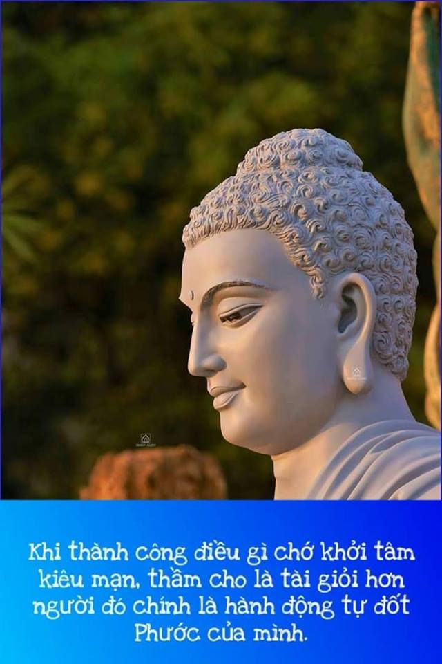 56276029_2084494648254361_5150946225029120000_n