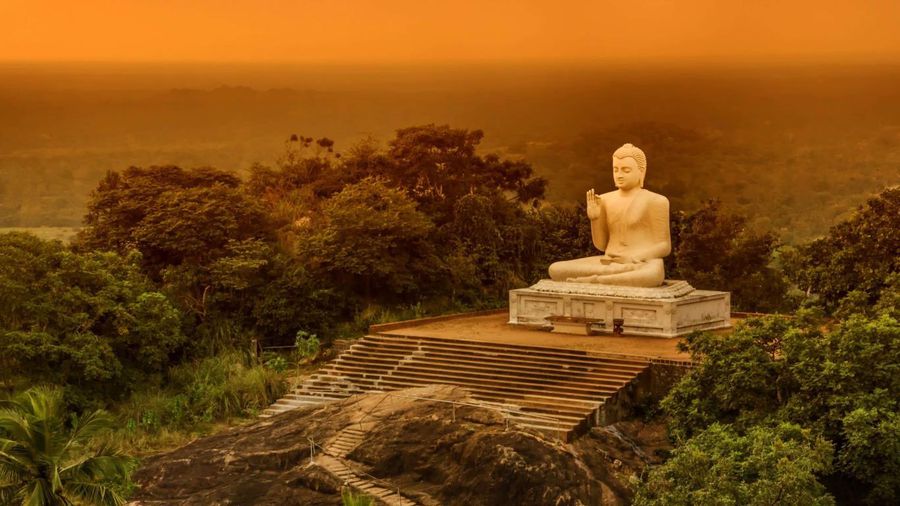 01886af8c6bb2fe576aa