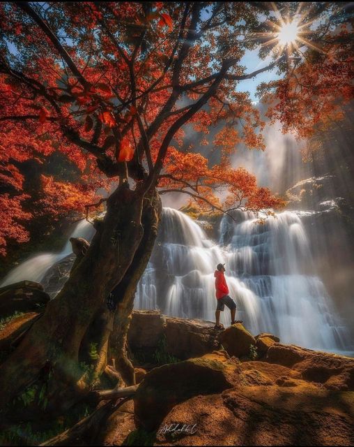 277177687_1305070320000953_3575439310123316007_n