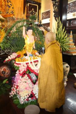 Chùa Bửu Đà: Lễ Tắm Phật mùng 08 tháng 04 năm Canh Tý (2020)