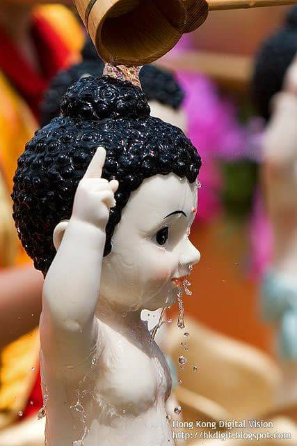 32385089_1652673974769766_1941387752515829760_n