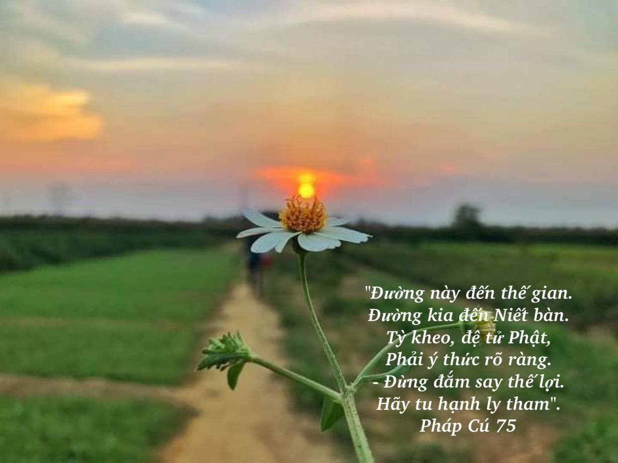 282014629_1338712549970063_5466481647713480525_n