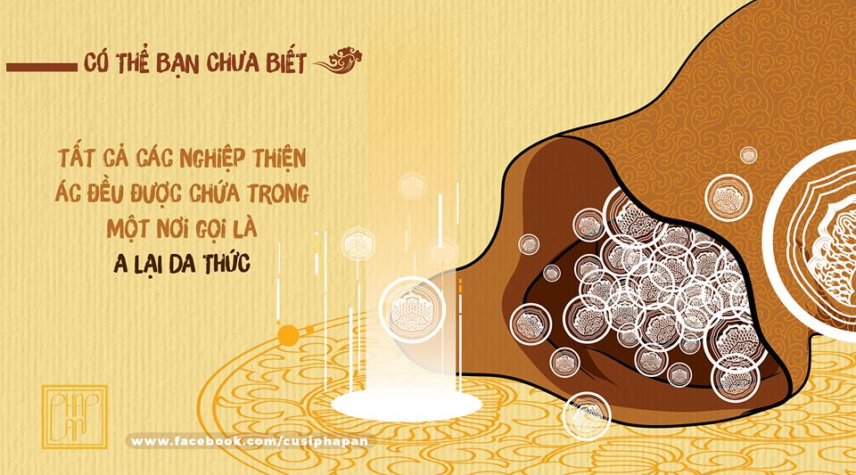 34884873_873474169512266_2898739016515977216_n