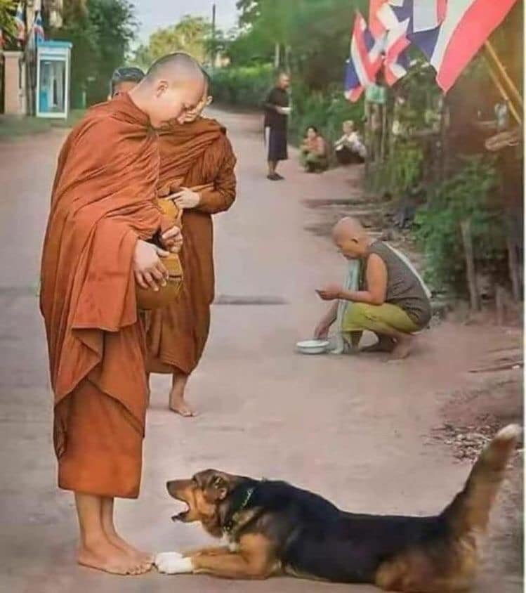 83678529_2839221459638846_8495673417201090560_n