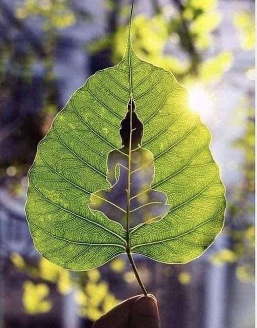 284282223_3182422965358542_1107849677371274381_n