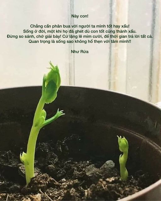 285903265_3189147471352758_2943579555276585741_n