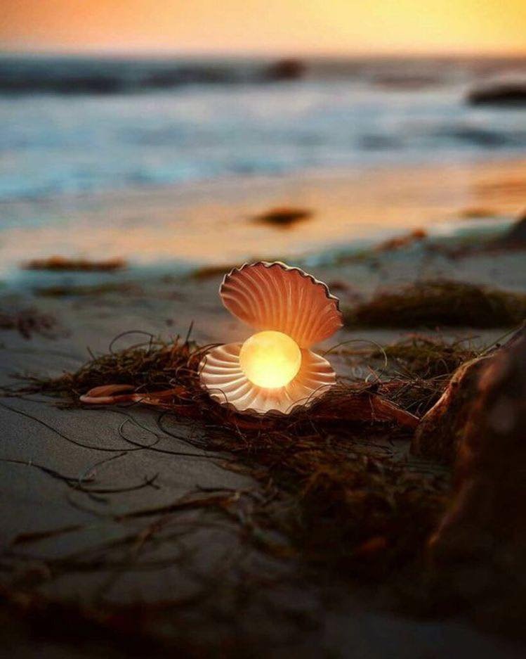 286795441_1353910515116933_4007838743834361896_n