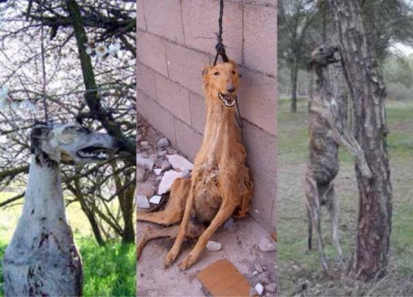 1395374_765412793484833_1150565345_n