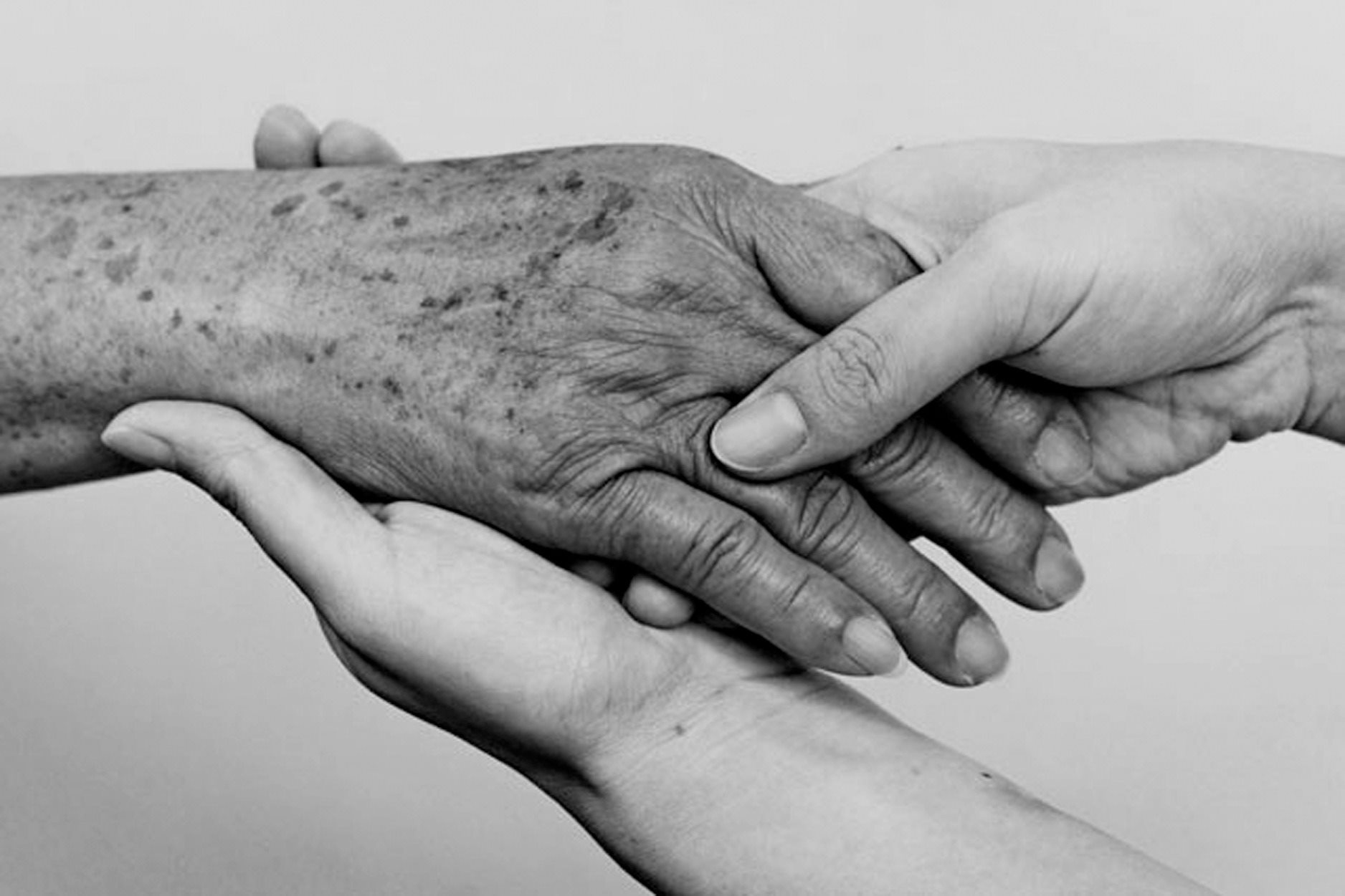 68251142_945953045747350_7204834083153641472_o