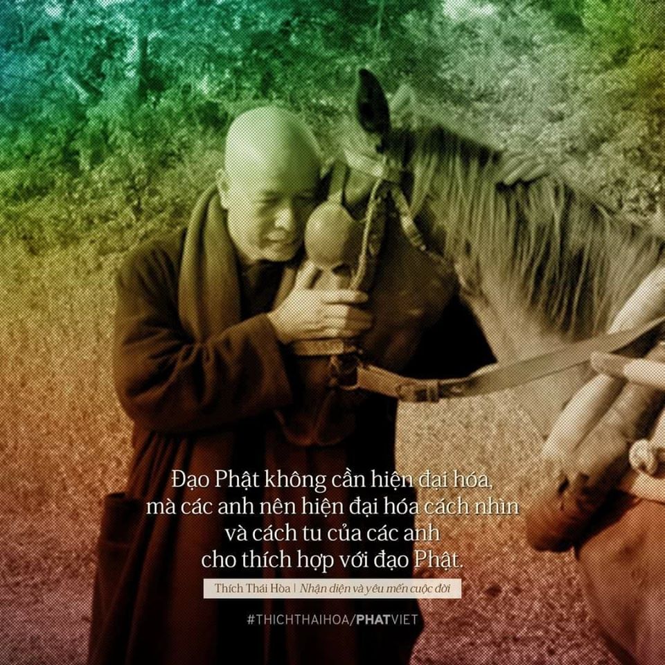 116335171_952404641900957_1490022932460922441_o