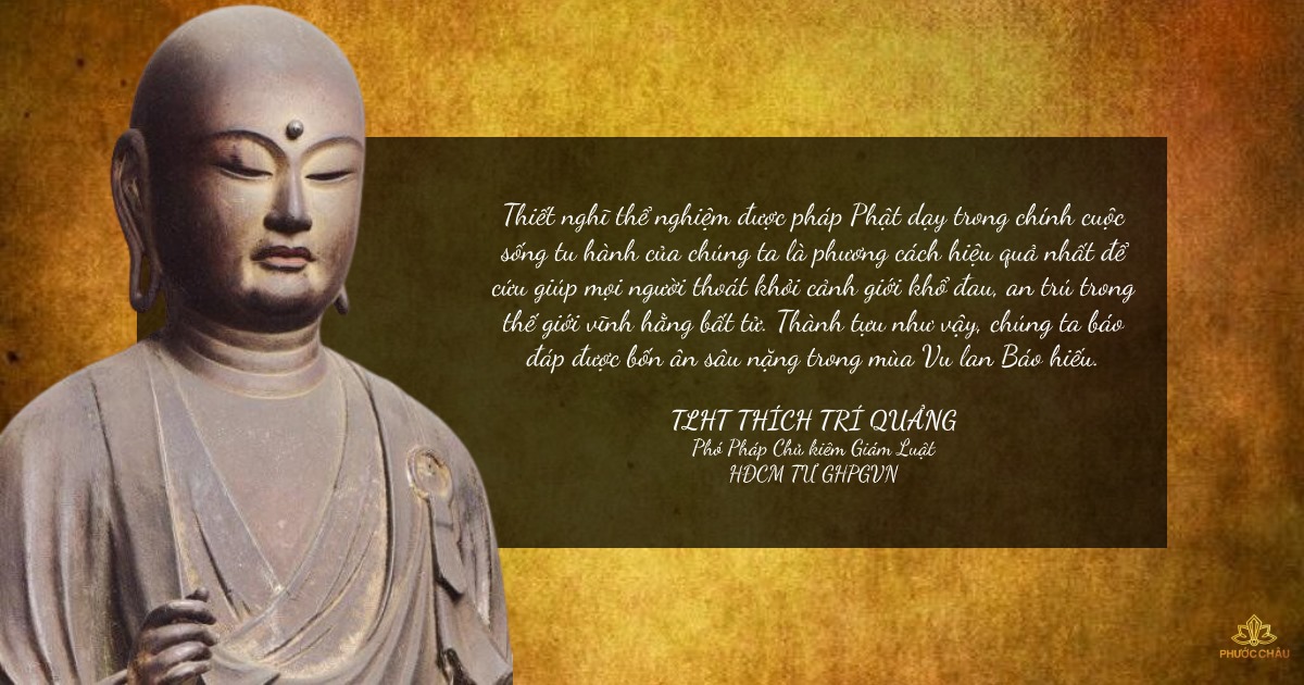 117838120_962799494194805_572986047758430999_o