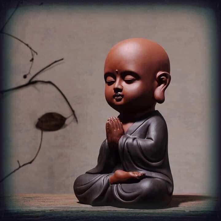 118378964_1559901010837866_2127332216366134511_n