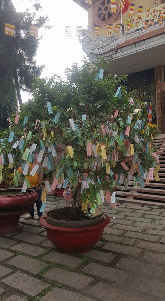 28059492_1984815131786004_3950352897430041345_n