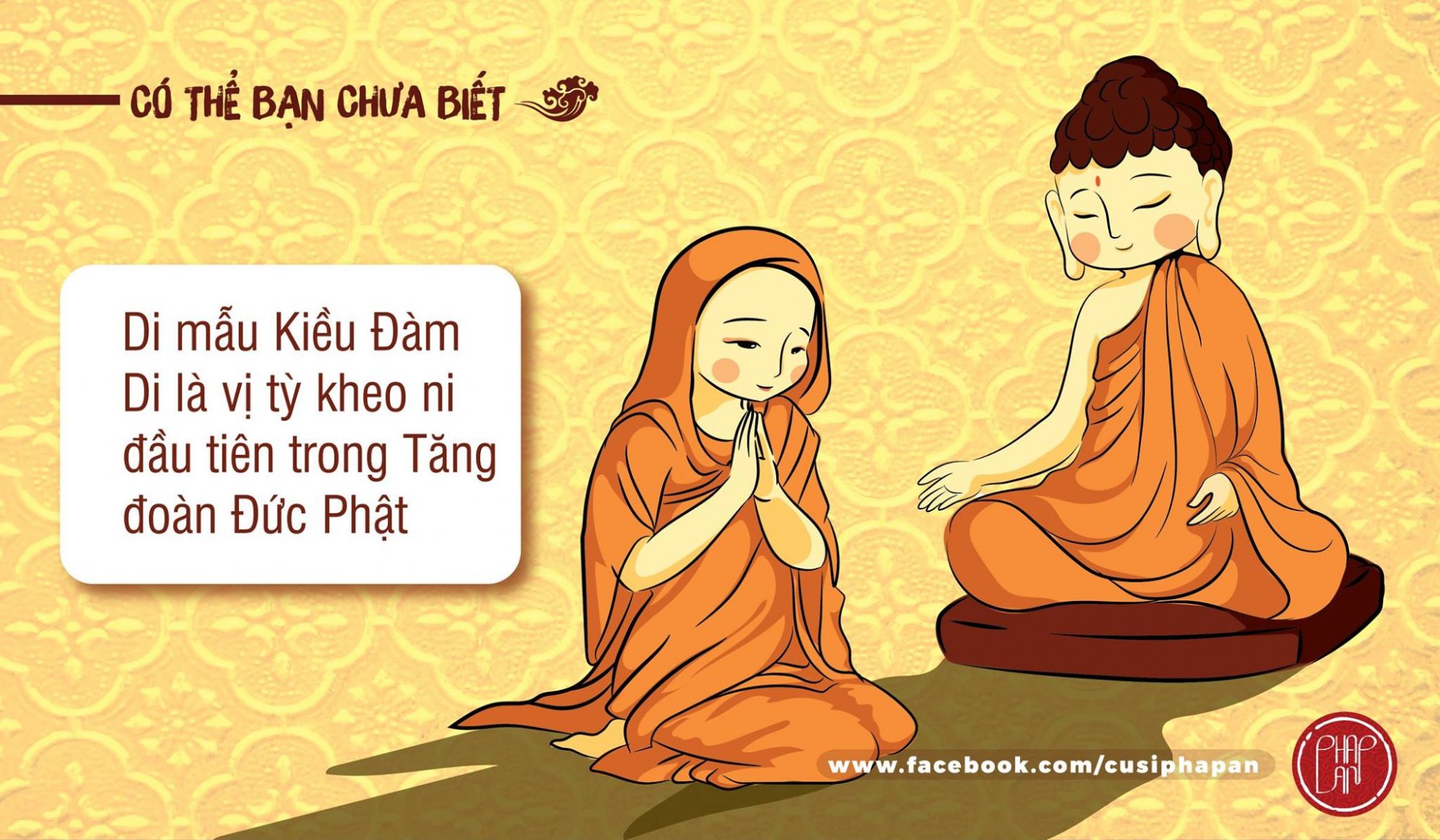 41244057_957909444402071_7114453651824836608_o