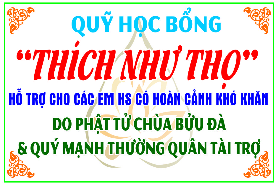 quy-hoc-bong