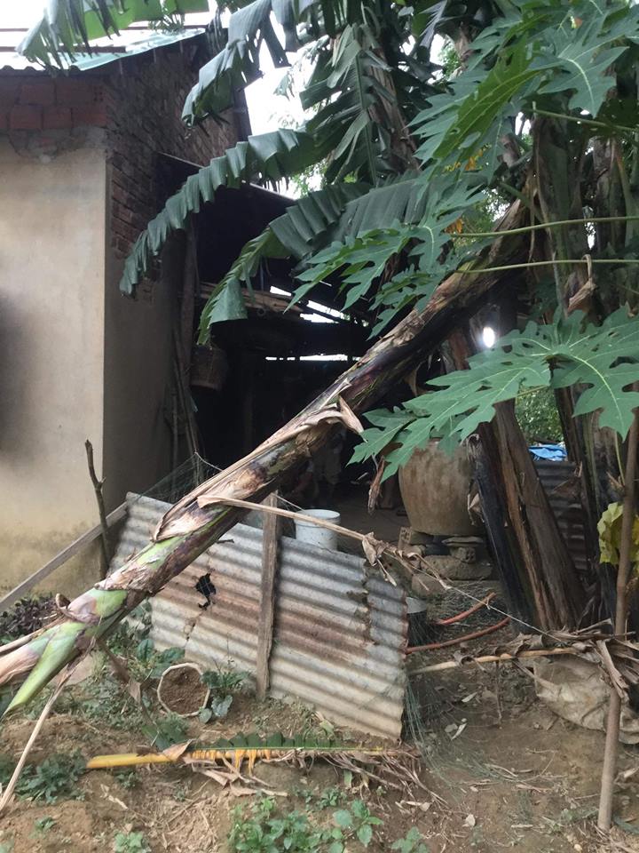 41040119_260868988100471_3274440155452145664_n