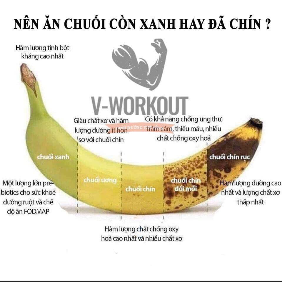 74643572_2488056034622987_2754558897124540416_n