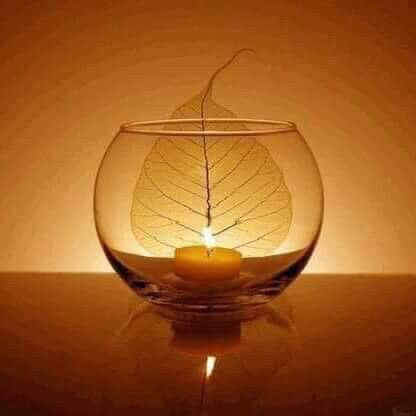 119707825_1289659208042048_4042159234226159142_n