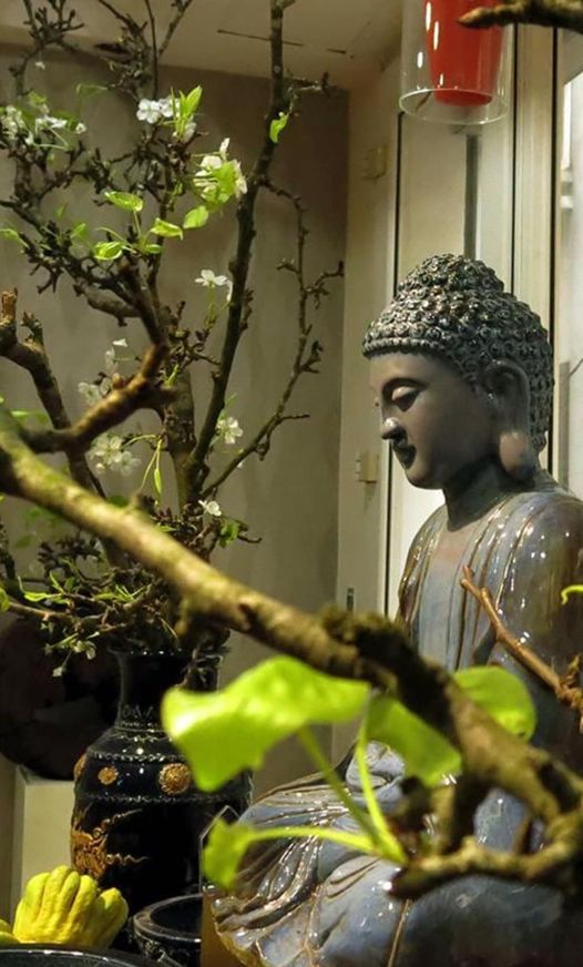 185496968_3000970893514642_4016678841837155930_n