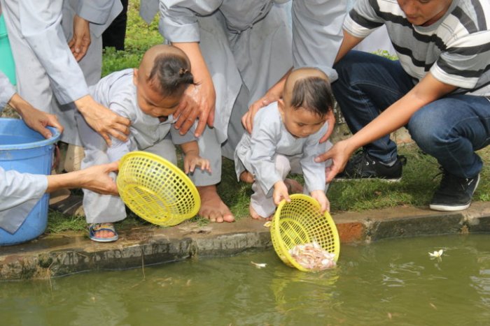 IMG_1526_FILEminimizer