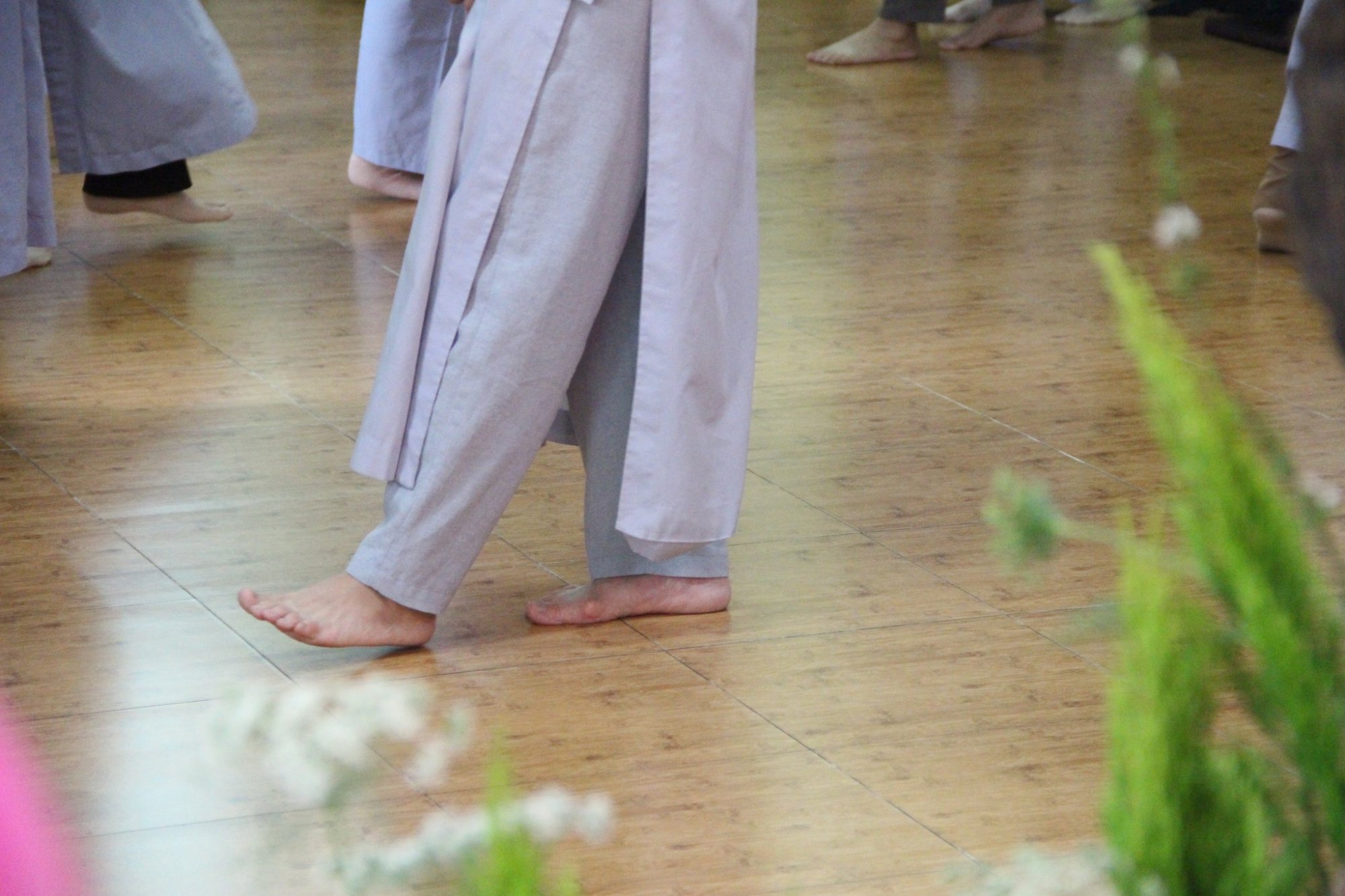 315737555_3318767598390744_414927215733296522_n