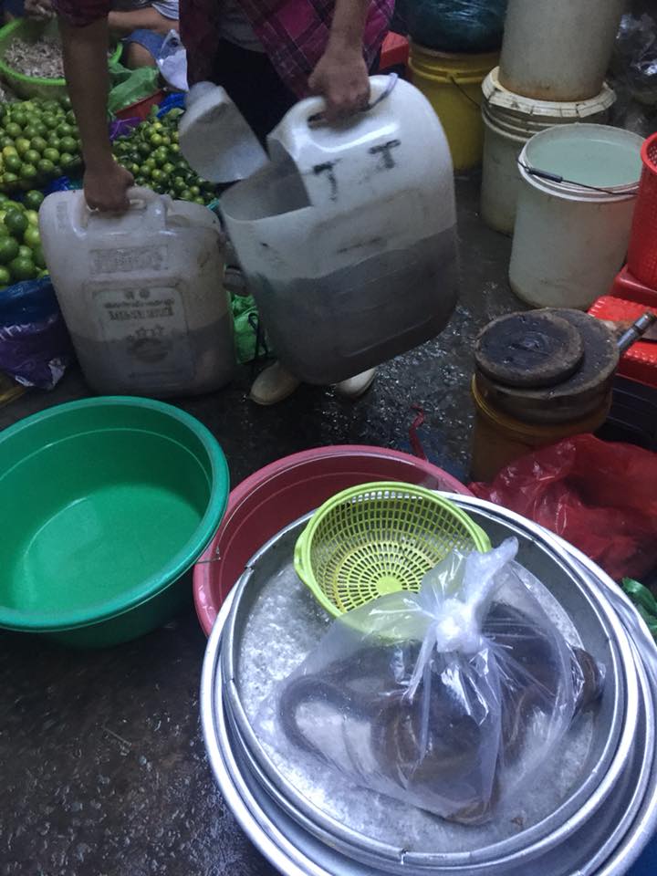 26168482_1514351025285898_2364756867619835872_n