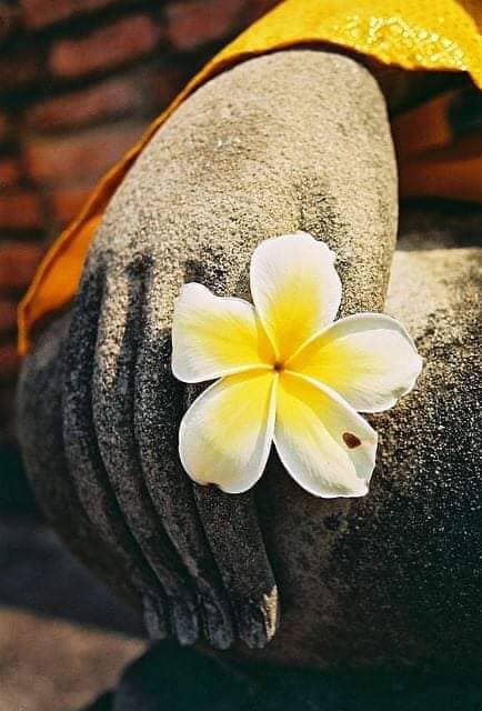 80117262_445937489423500_341650844371910656_n