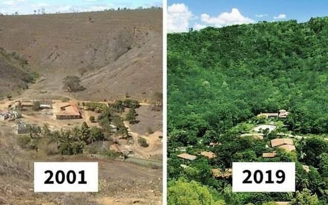 122906674_3379260072156748_209134736935096385_n