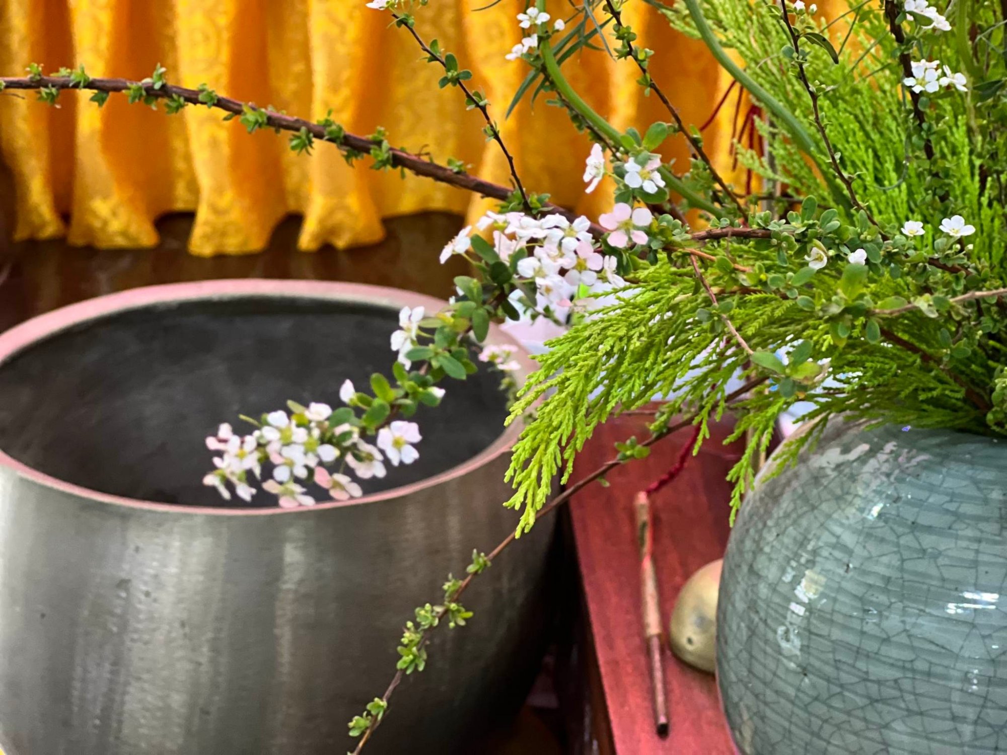 318106986_3335214770079360_927940447979504777_n