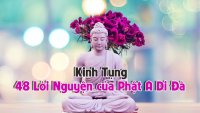 48 Lời Nguyện Đức Phật A Di Đà - Thầy Pháp Hòa